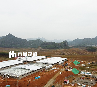 南商農科：廣西象州規模26000頭育肥場