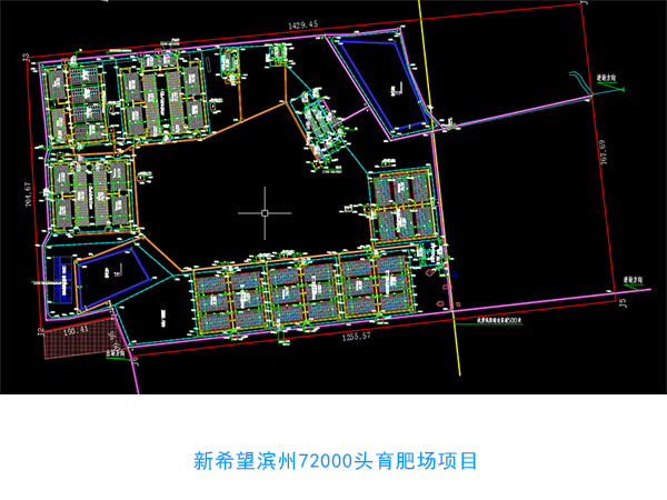 萬頭規模化育肥養豬場設計圖