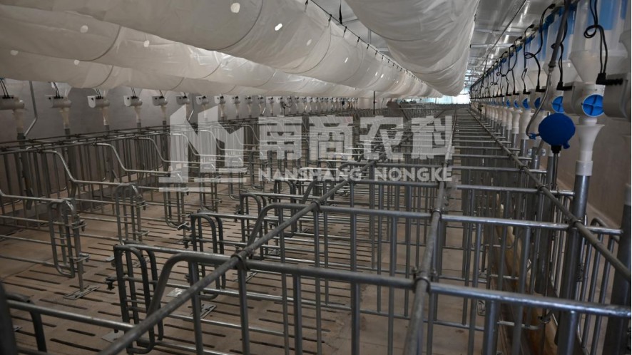 豬場內部展示